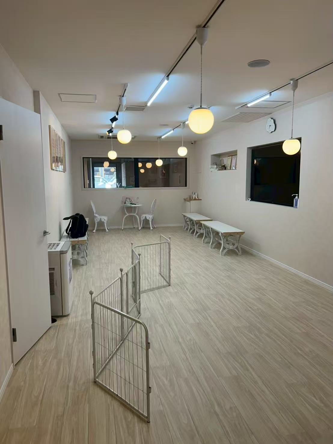 ペットショップ店内装